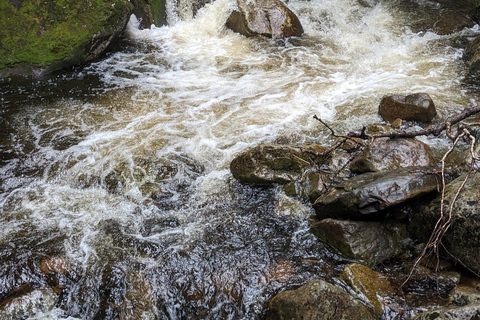 All-Inclusive Guided Hike to Jacques-Cartier National Park All-Inclusive Guided Hiking Tour