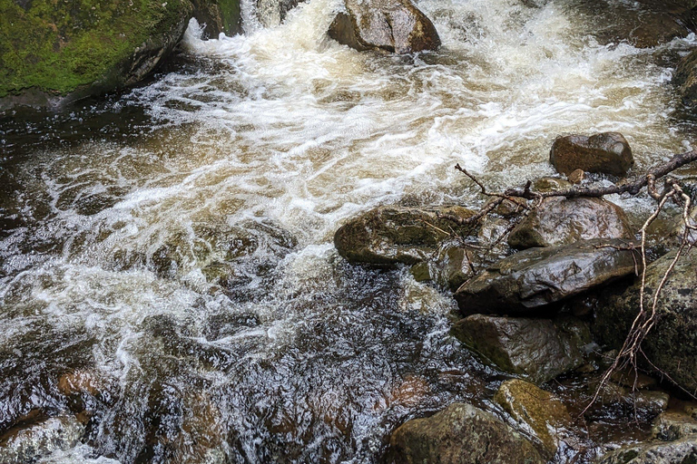 All-Inclusive Guided Hike to Jacques-Cartier National Park All-Inclusive Guided Hiking Tour