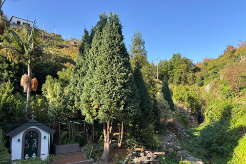 Madeira: Exotic Birds & Valleys 4x4 Safari with Local Guide Shared Exotic Birds & Valleys 4x4 Expedition Local Guide