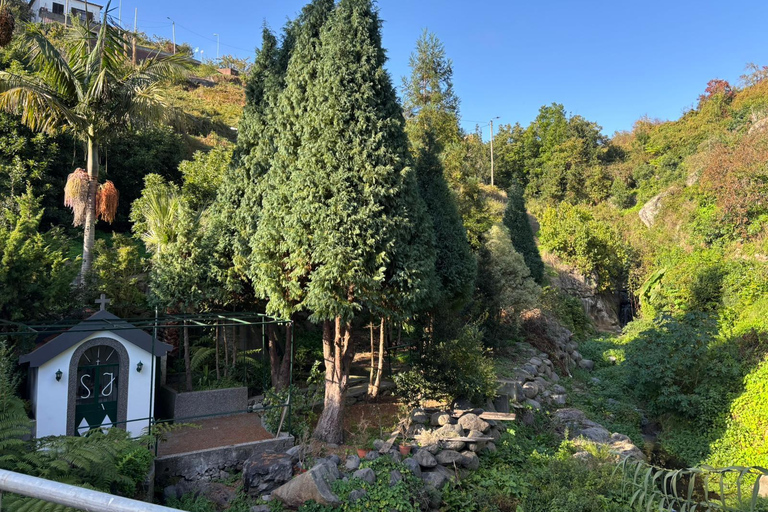 Madeira: Exotic Birds & Valleys 4x4 Safari with Local Guide Shared Exotic Birds & Valleys 4x4 Expedition Local Guide