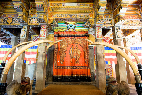 3-Day Private Tour: Sigiriya, Dambulla, Ella With Train Tour