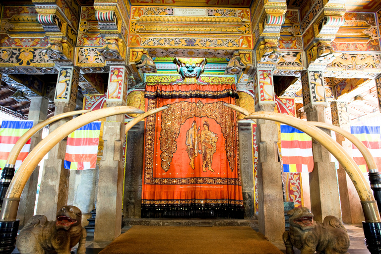 3-Day Private Tour: Sigiriya, Dambulla, Ella With Train Tour