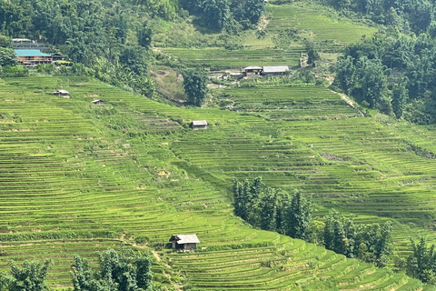 Red Dao Village Trek and Herbal Bath