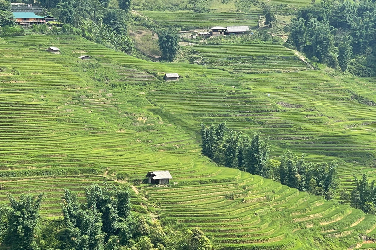 Red Dao Village Trek en kruidenbad