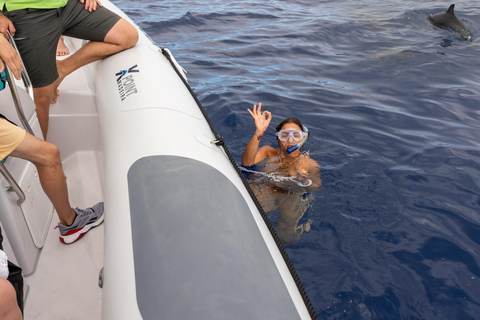 Funchal: Crociera in gommone per avvistare le balene e nuoto facoltativo con i delfiniEsclusivo: Viaggio privato