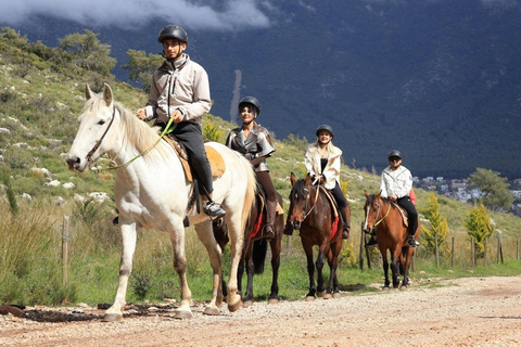 Fethiye: Horseback Safari w/ Pine Forest Ride & Kayakoy View Pro Riders Horse Safari w/ Free Ride & Transfer