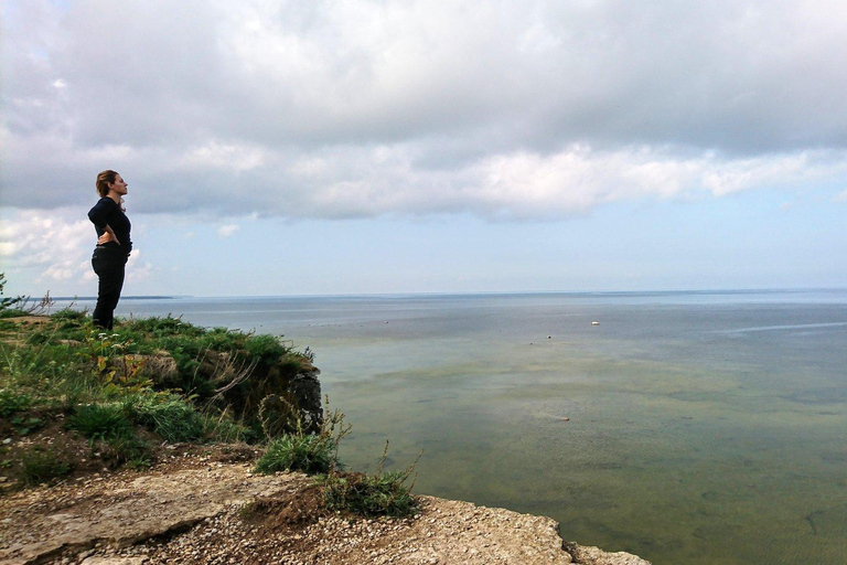 Depuis Tallinn : visite guidée de la cascade de Keila-Joa et de la campagne environnante.Au départ de Tallinn : visite guidée de la cascade de Keila-Joa et de la campagne enviro