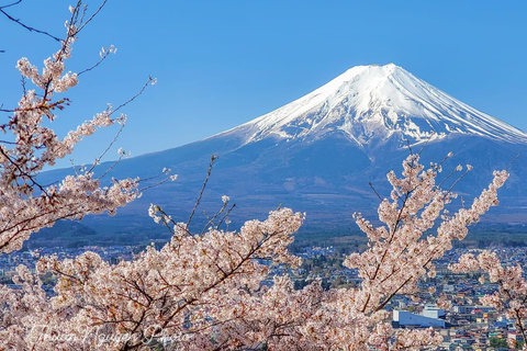 Depuis Tokyo : Excursion privée d'une journée au Mont Fuji et au lac Kawaguchiko