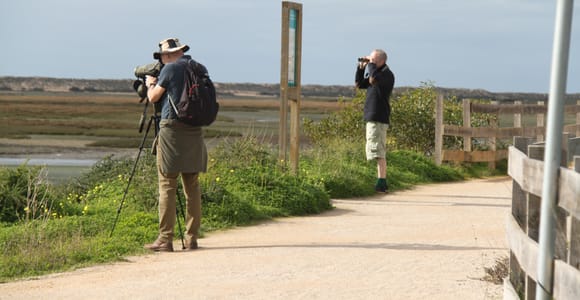 Faro: Ria Formosa Birdwatching