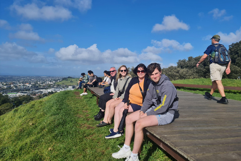 Tour di un giorno intero dei punti salienti della città di Auckland