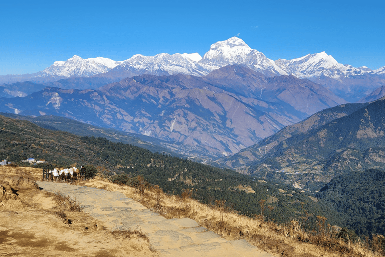 Kathmandu: 5-Day Mardi Himal Trek with Guide and Flights