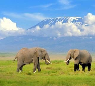 Spa e benessere a Arusha