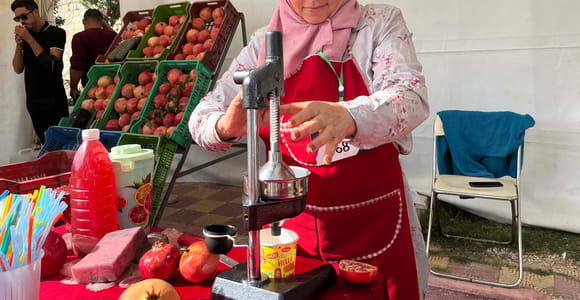 From Hammamet Visit Testour & taste Pomegranate and Cheese