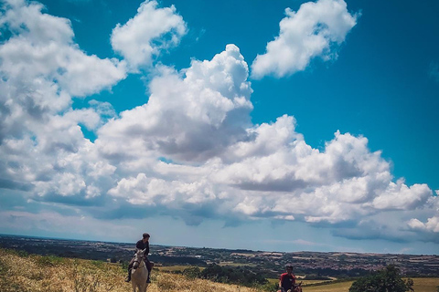 Rome: Lake Martignano Horseback Ride on a Private Estate Lake Martignano: Horseback Ride on a Private Estate