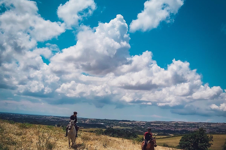 Rome: Lake Martignano Horseback Ride on a Private Estate Lake Martignano: Horseback Ride on a Private Estate