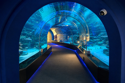 Doha Visit Hamad Port Aquarium- Museum with Private Transfer