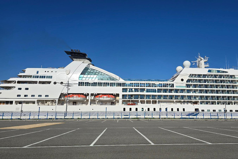 Busan: Private Shore Excursion with Licensed Local Guide