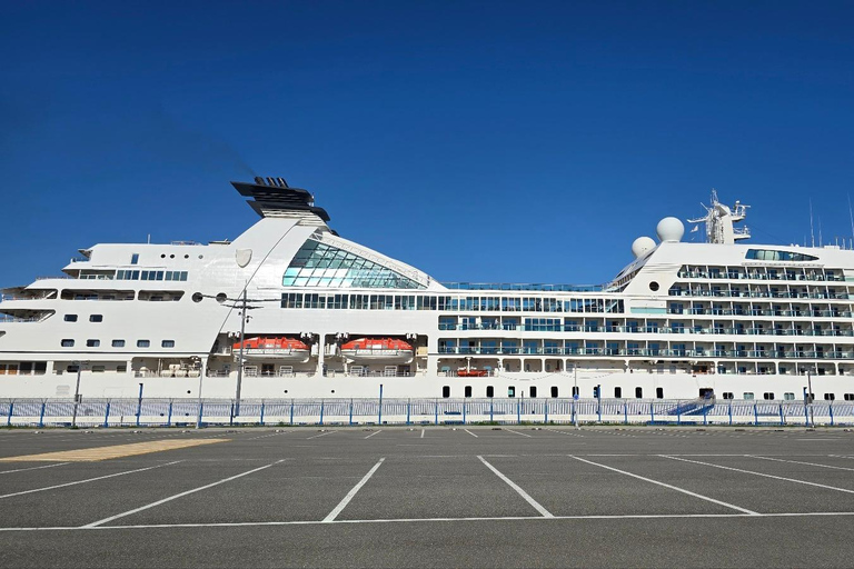 Busan: Private Shore Excursion with Licensed Local Guide