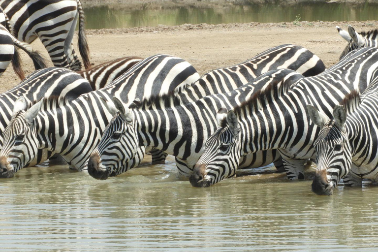 Private Nairobi National Park Drive in 4*4 landcruiser
