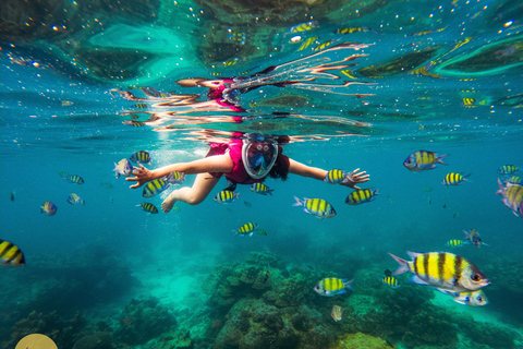 De Krabi: Excursão à Ilha Hong e Ko Pak Bia com jantar ao pôr do sol