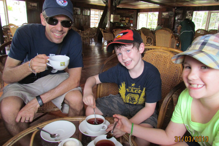 Sri Lanka: 8 Days Sri Lanka Highlights Private Tour 8 Days Tour with Car
