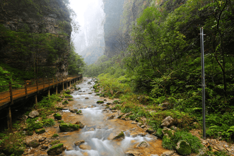 Excursão à ponte de vidro do Grand Canyon de Zhangjiajie e à caverna HuanglongGrand canyon glass birdge huanglong cave from Zhangjiajie