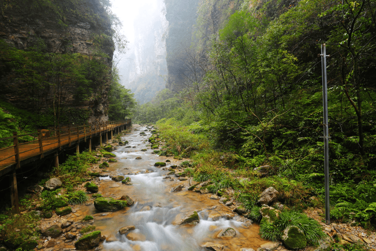 Excursão à ponte de vidro do Grand Canyon de Zhangjiajie e à caverna HuanglongGrand canyon glass birdge huanglong cave from Zhangjiajie