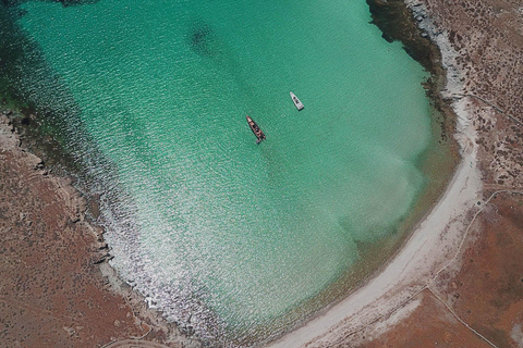 Mykonos : croisière à terre à Delos et Rhenia avec fruits et collationsMykonos : croisière vers Délos et Rhenia avec fruits et collations