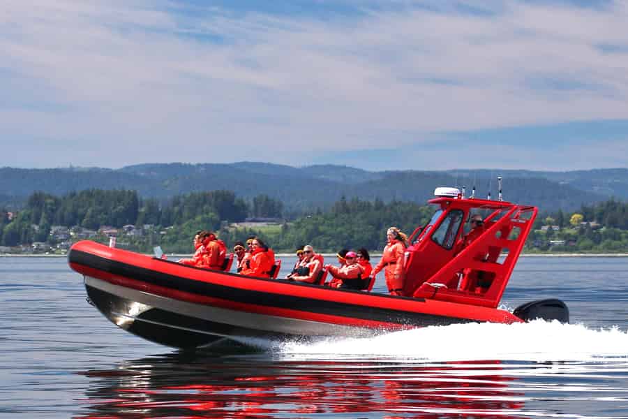 Vancouver, BC: Whale Watching Tour Kleines Zodiac mit Guide. Foto: GetYourGuide