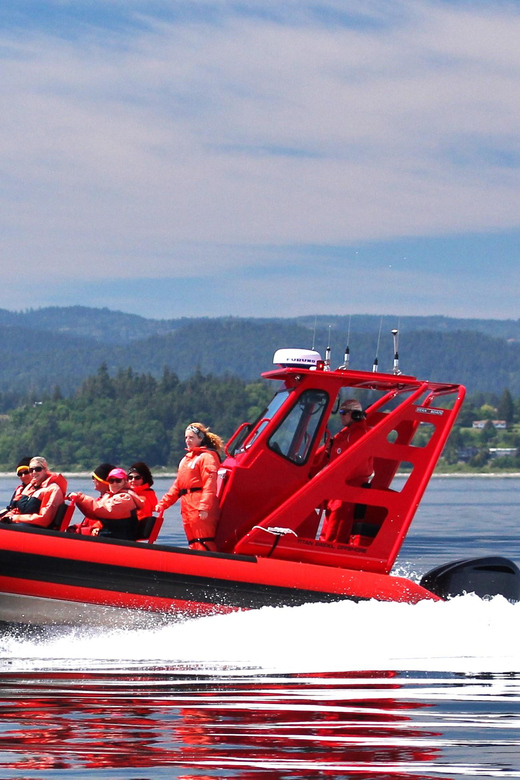 Vancouver, BC: Whale Watching Tour Small Zodiac with Guide