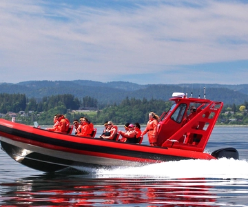Vancouver, BC: Tour di osservazione delle balene in piccolo zodiaco con guida