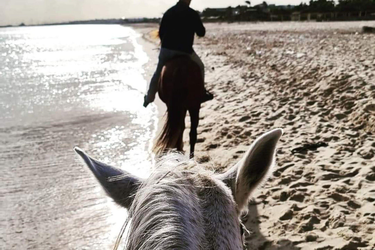 Hammamet : Paardrijden op het strand