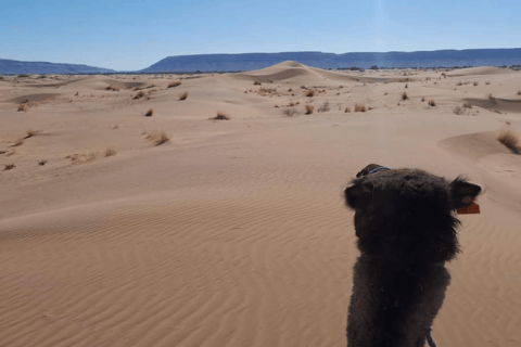 From Agadir : Private 2 Days Sahara Tour to Zagora Desert From Agadir : Unforgettable 2-Day Desert Tour To Zagora