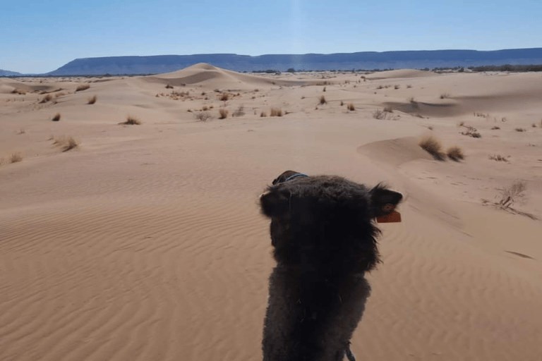 From Agadir : Private 2 Days Sahara Tour to Zagora Desert From Agadir : Unforgettable 2-Day Desert Tour To Zagora