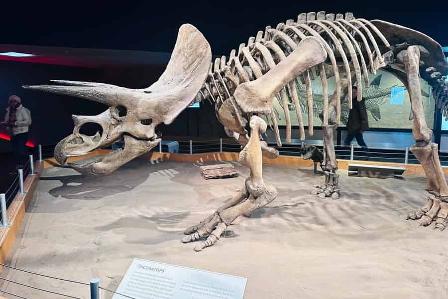 Calgary: Drumheller Royal Tyrrell Museum, Hoodoos & Schluchten. Foto: GetYourGuide Calgary: Drumheller Royal Tyrrell Museum, Hoodoos & Schluchten. Foto: GetYourGuide