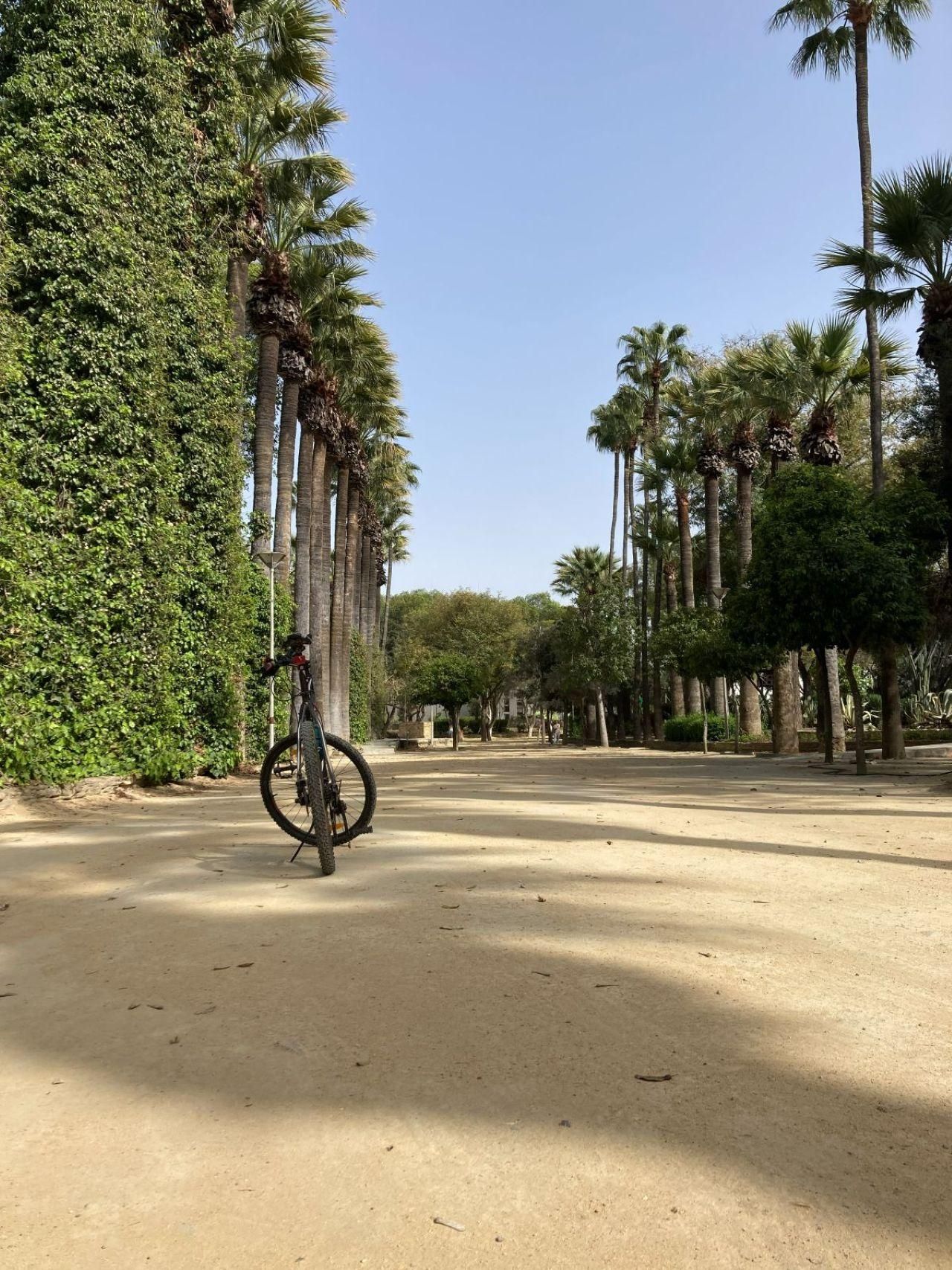 Nikosia: Fahrrad-Führung zu den Highlights der Stadt und durch die Altstadt