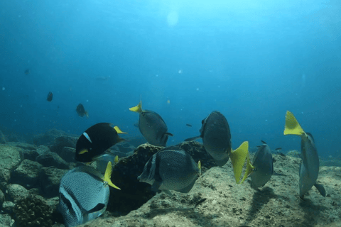 La Paz: Boat ride to Espiritu Santo island and sloop
