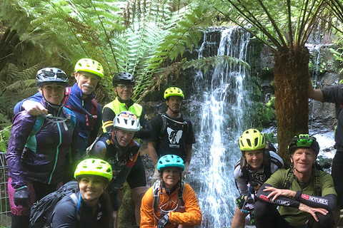 Depuis Hobart : Sommet du Mont Wellington et excursion à vélo dans la forêt tropicale