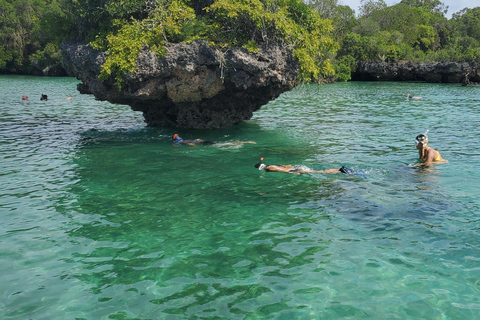 Excursão Safari Azul