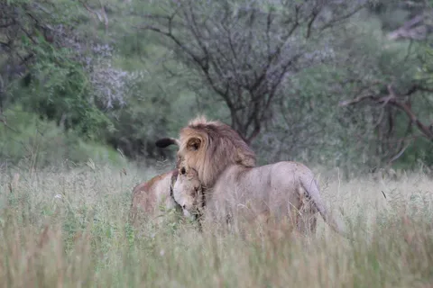 3-dagars äventyr från Dar-es-Salaam till Mikumi National Park