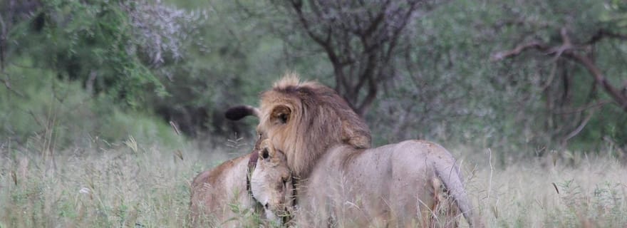 Aventure de 3 jours de Dar-es-Salaam au parc national de Mikumi