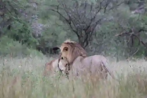 Aventure de 3 jours de Dar-es-Salaam au parc national de Mikumi