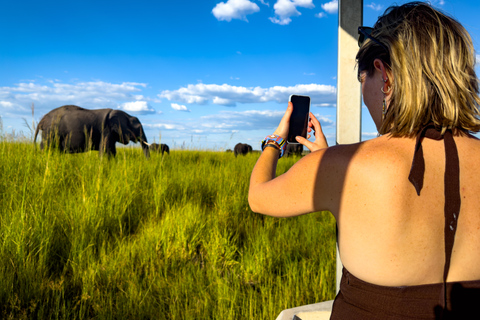 Desde las cataratas Victoria Excursión de un día a Chobe, Botsuana