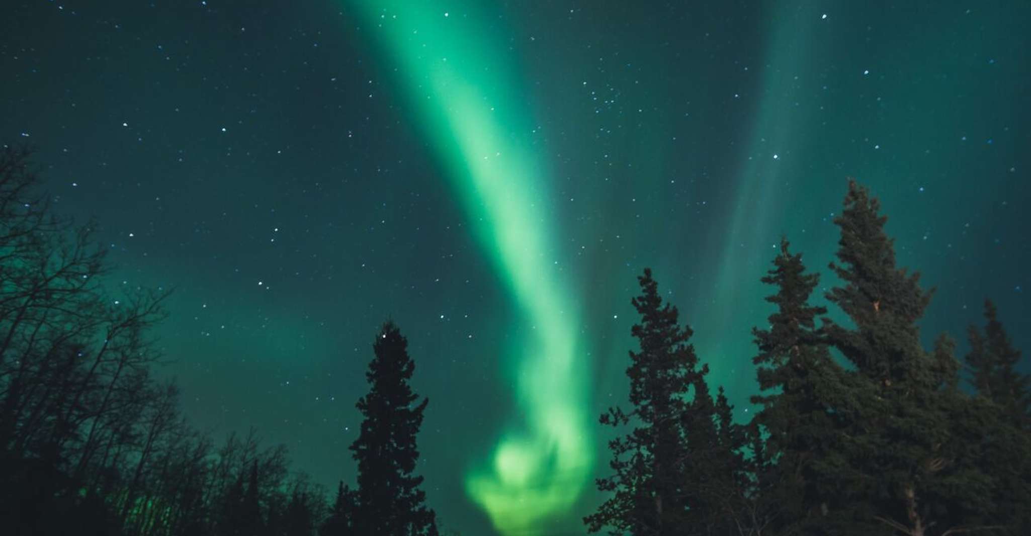 Aurora Borealis Quest, Private Yukon Nighttime Tour - Housity