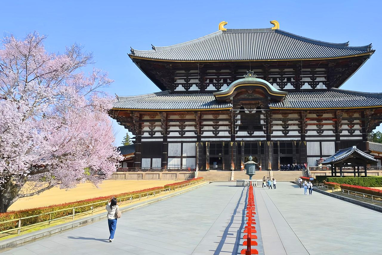 A Thousand Blossoms & Deer: Nara Spring Day Tour