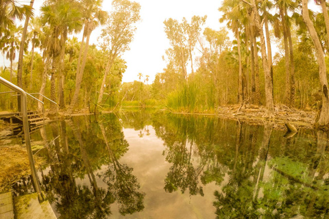 Darwin till Cairns: Kakadu &amp; Gulf Savannah 11-dagars rundtur