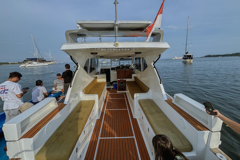 从巴厘岛出发：努沙佩尼达魔鬼鱼浮潜私人乘船观光共享游船之旅（含午餐，巴厘岛酒店接送服务）