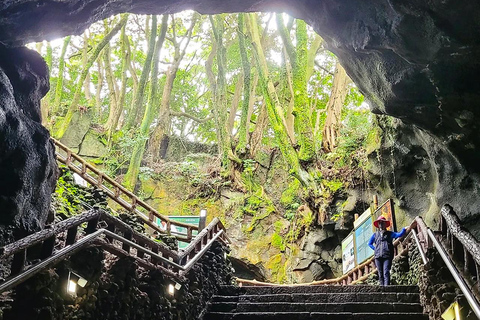 Jeju: UNESCO South & East Highlights 2 Days Combo Tour