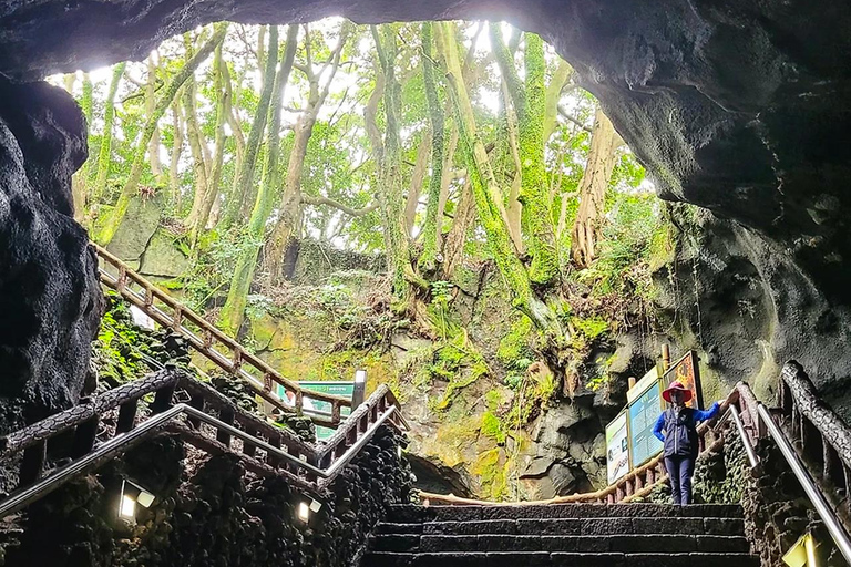 Jeju: UNESCO South & East Highlights 2 Days Combo Tour