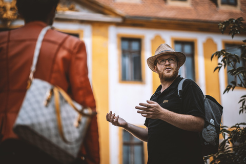 Dresden: Boat Cruise with Wine Tasting and Snacks
